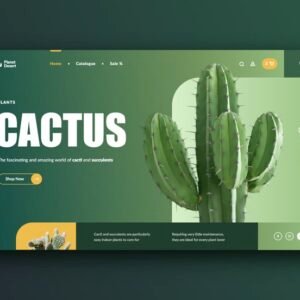 Diseño WEB